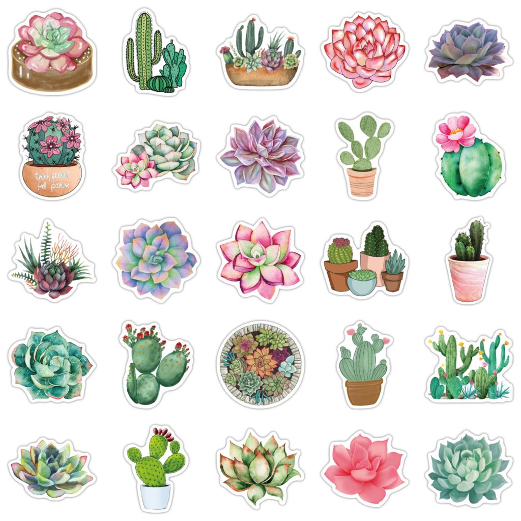 50 Buah Stiker Sukulen untuk L - Laptop Accessories Girly ulasan dan harga