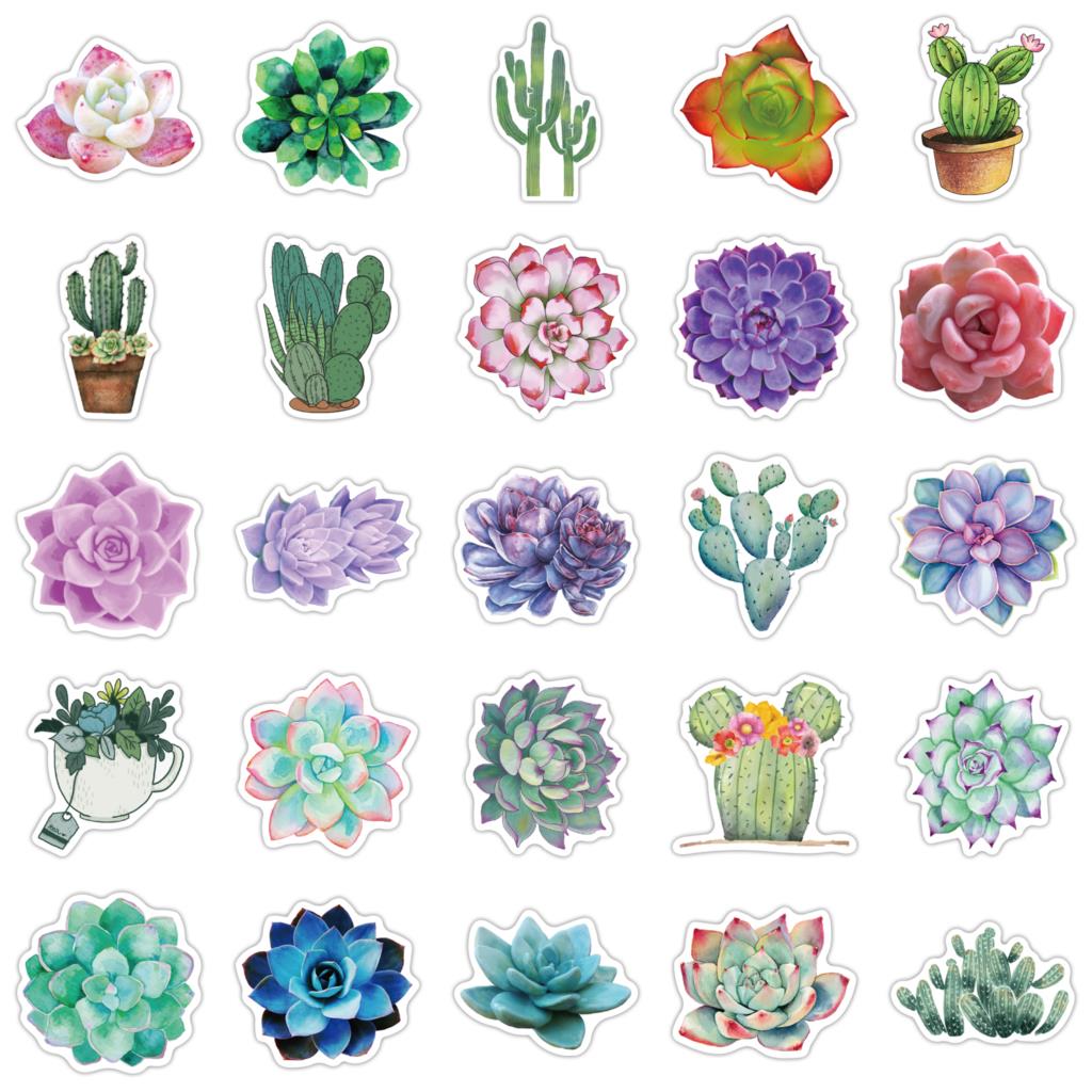 50 Buah Stiker Sukulen untuk L - Laptop Accessories Girly ulasan dan harga