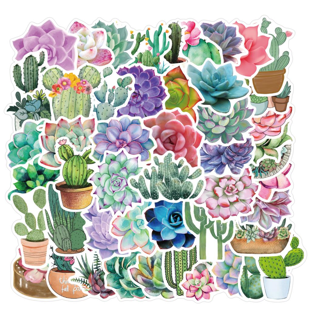 50 Buah Stiker Sukulen untuk L - Laptop Accessories Girly ulasan dan harga
